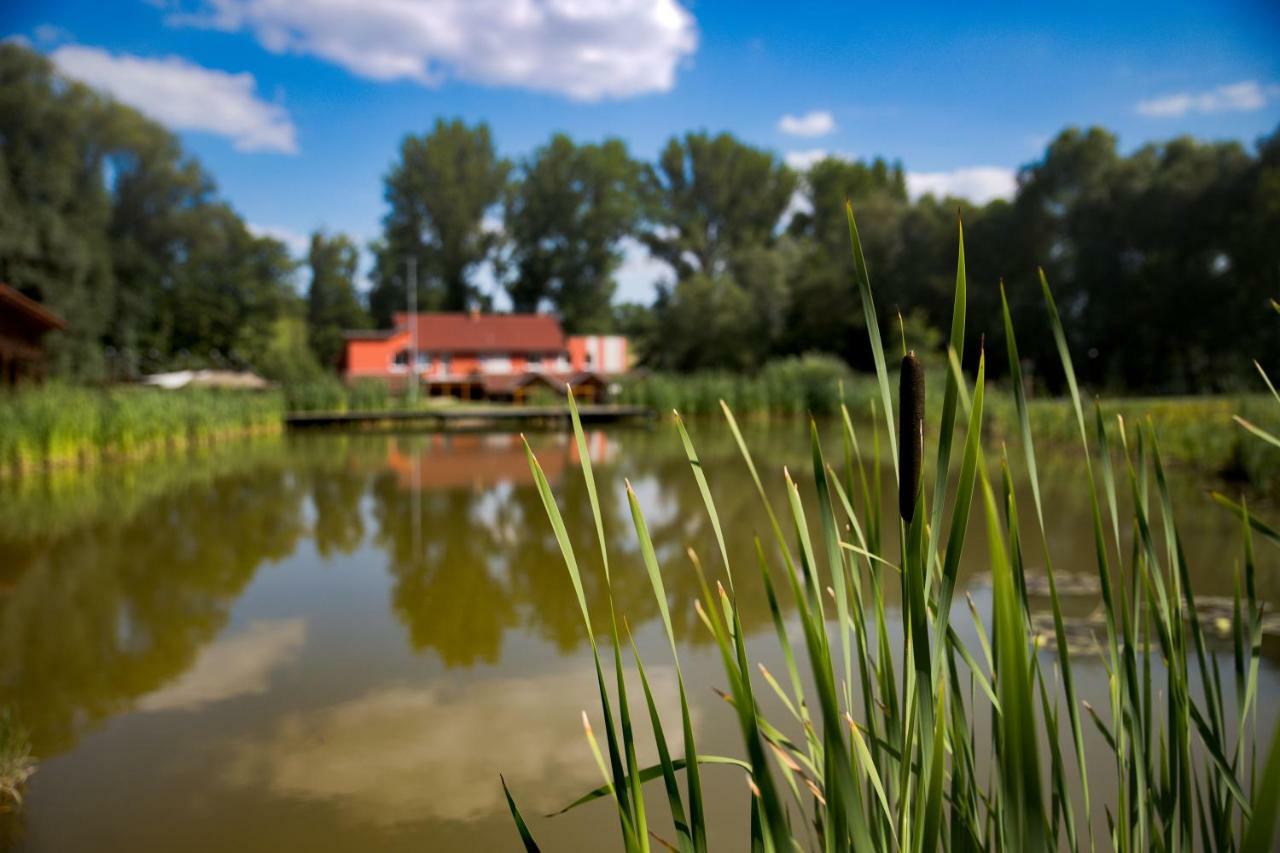 Penzion Amfík Bukovina Popovice  Exterior foto